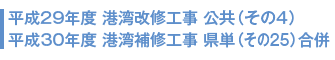 平成29年度 港湾改修工事 公共(その4) 平成30年度 港湾補修工事 県単(その25)合併